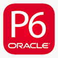 Primavera P6